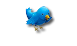 twitter_copy